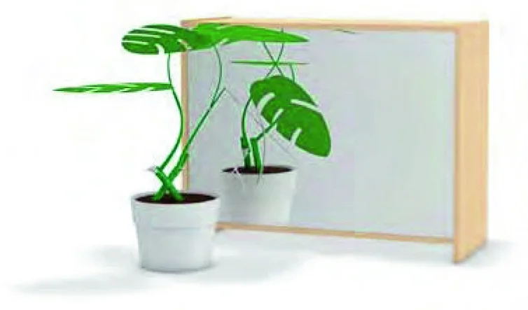 bungarten-shop202607211530362787740