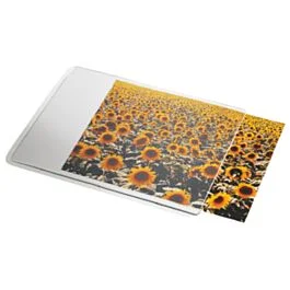 eichhorn-office-solutions202607212135322824517