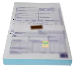 svg-dresden202607202035172690789